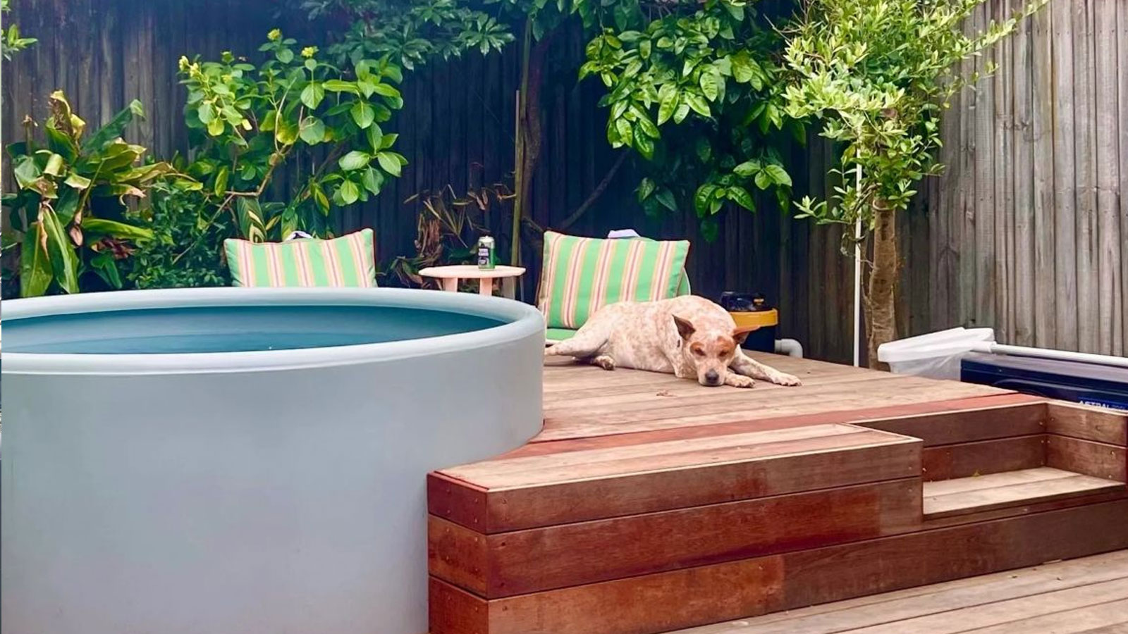 Pure Plunge Pools